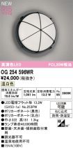 OG254596WR