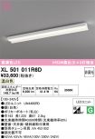 XL501011R6D