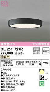 ODELIC(オーデリック) 小型シーリング(LED) 照明器具・換気扇他、電設