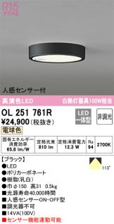 ODELIC(オーデリック) 小型シーリング(LED) 照明器具・換気扇他、電設