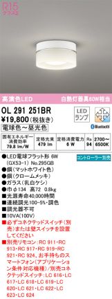 ODELIC(オーデリック) 小型シーリング(LED) 照明器具・換気扇他、電設