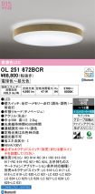 OL251672BCR