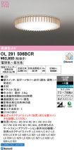 OL291506BCR