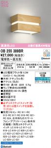 OB255389BR