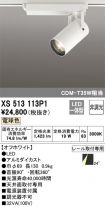 XS513113P1