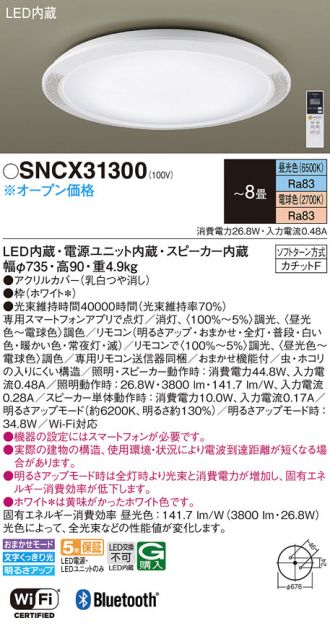 SNCX31300