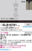 SLB16781
