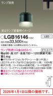 LGB16146