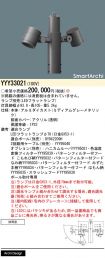 YYY33021